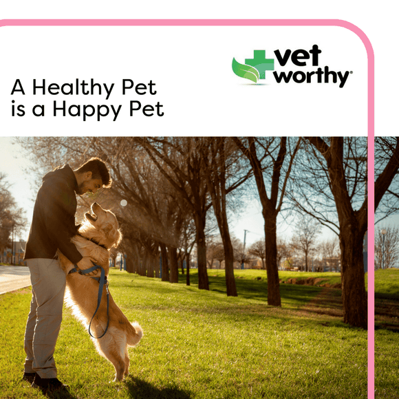 Vet Worthy Bitter Spray - Cat Health Care & Wellness 7