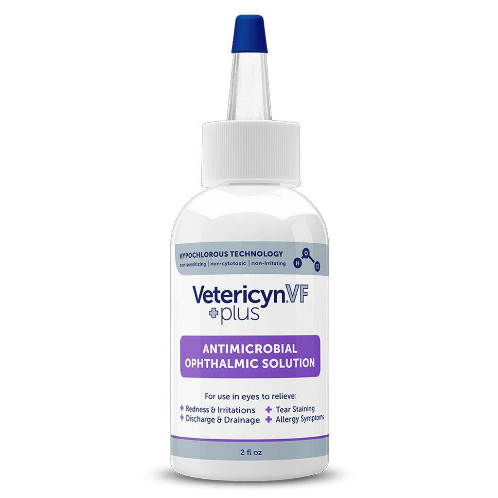 Dog Eye Drops: Best Lubricants for Dry Eyes & Irritation | HardyPaw Dog Eye Drops: Best Lubricants for Dry Eyes & Irritation | HardyPaw