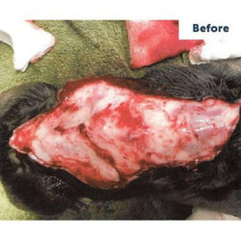 before using vetericyn antimicrobial gel
