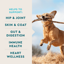 VetIQ 8-in-One Multi Functional Supplement for Dogs (60 soft chews) - Dog Multi-Vitamins 5