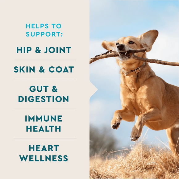 VetIQ 8-in-One Multi Functional Supplement for Dogs (60 soft chews) - Dog Multi-Vitamins 5