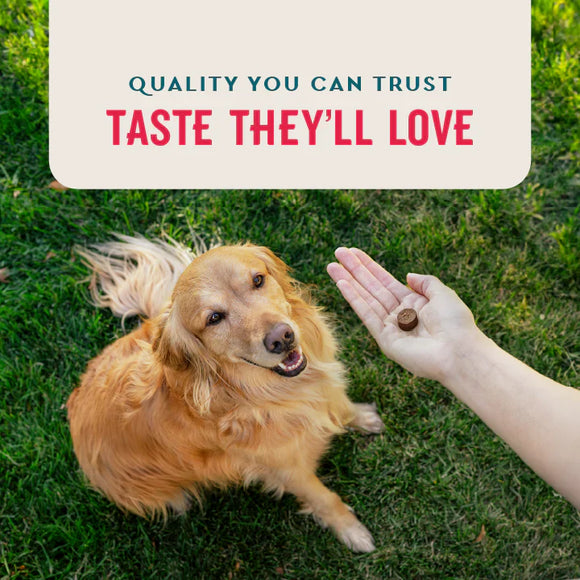 VetIQ 8-in-One Multi Functional Supplement for Dogs (60 soft chews) - Dog Multi-Vitamins 8