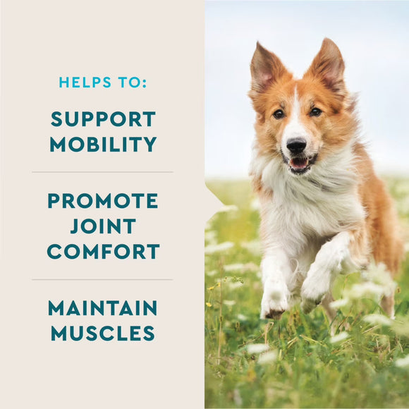 VetIQ Advanced Hip & Joint Supplement for Dogs (60 soft chews) - Dog Joint & Hip Supplements 4