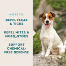 VetIQ Flea & Tick Support for Dogs (60 soft chews) - Dog Flea & Tick 4