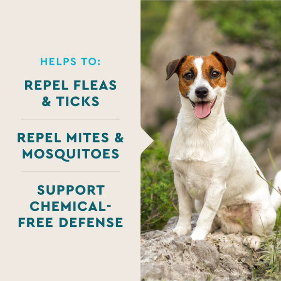VetIQ Flea & Tick Support for Dogs (60 soft chews) - Dog Flea & Tick 4