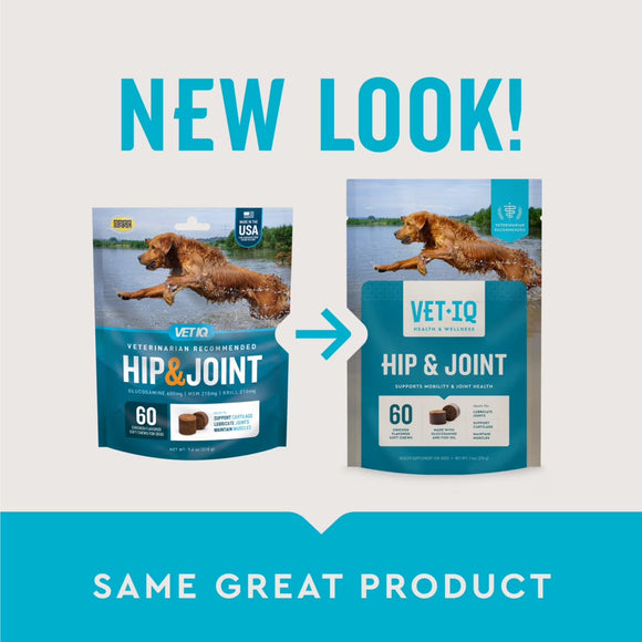 VetIQ Hip & Joint Soft Chew Supplement for Dogs (60 count) - Joint Supplement 2