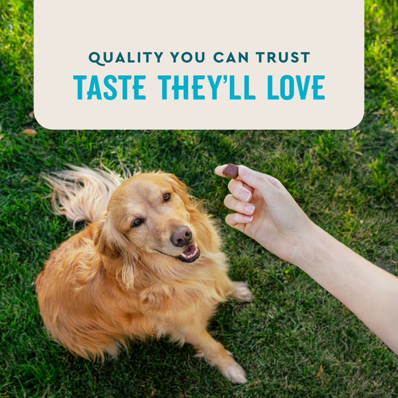 VetIQ Hip & Joint Soft Chew Supplement for Dogs (60 count) - Joint Supplement 7