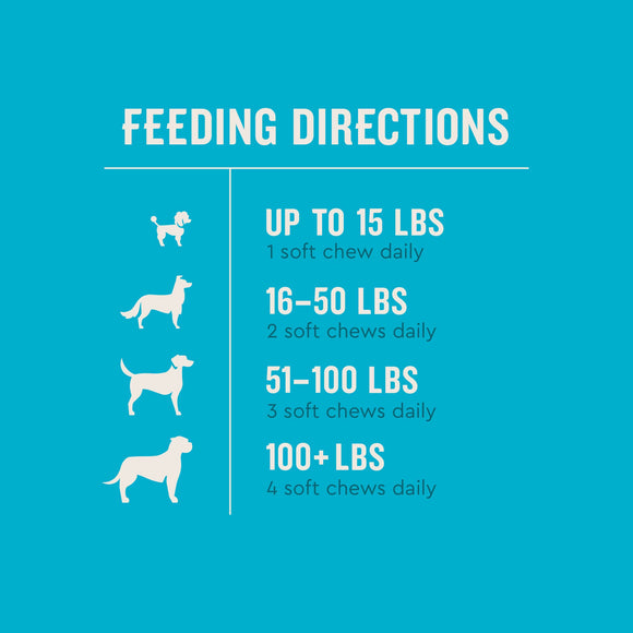 VetIQ Multivitamin Soft Chew Supplement for Dogs (60 soft chews) - Dog Multi-Vitamins 5