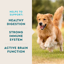 VetIQ Multivitamin Soft Chew Supplement for Dogs (60 soft chews) - Dog Multi-Vitamins 3