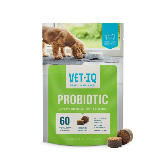 VetIQ Probiotic Soft Chew Supplement for Dogs (60 soft chews) - Probiotic Supplement 1