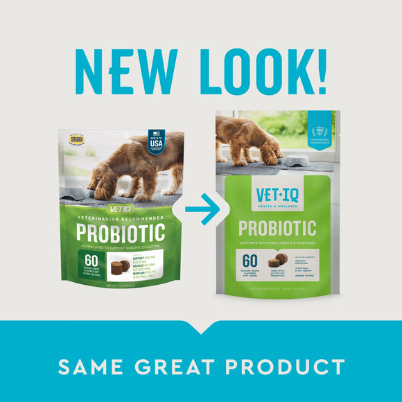 VetIQ Probiotic Soft Chew Supplement for Dogs (60 soft chews) - Probiotic Supplement 2