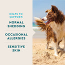 VetIQ Skin & Coat Soft Chew Supplement for Dogs (60 soft chews) - Dog Skin & Coat Supplements 3