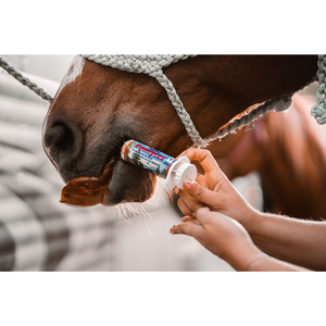 Vetline Equilytes Electrolyte Paste for Horses - Horse Vitamins & Supplements 2
