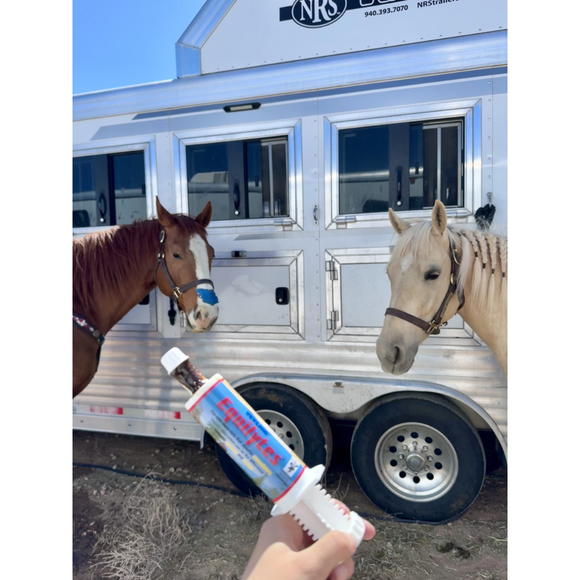 Vetline Equilytes Electrolyte Paste for Horses - Horse Vitamins & Supplements 3