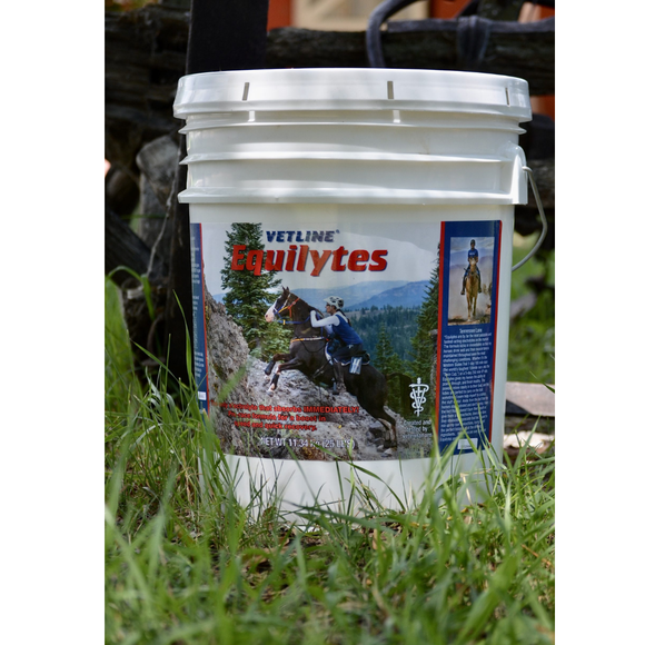 Vetline Equilytes Electrolyte Powder for Horses - 25 lb - Horse Vitamins & Supplements 3