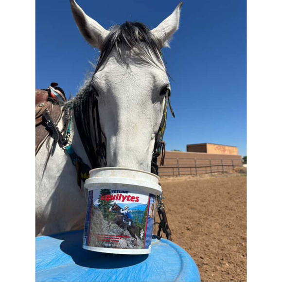 Vetline Equilytes Electrolyte Powder for Horses - Horse Vitamins & Supplements 4