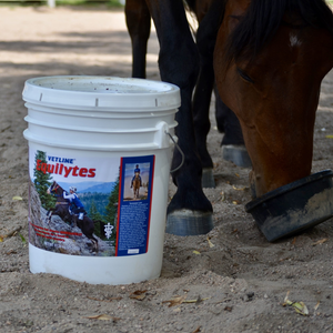 Vetline Equilytes Electrolyte Powder for Horses - Horse Vitamins & Supplements 2