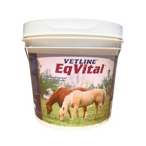 Vetline EqVital Vitamin & Mineral Powder for Horses - Horse Vitamins & Supplements 1