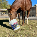 Vetline Race Today Respiratory Support Powder for Horses - Horse Vitamins & Supplements 3