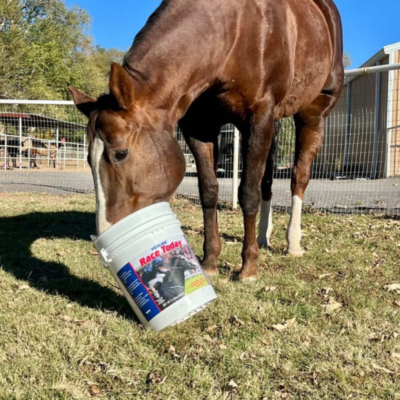 Vetline Race Today Respiratory Support Powder for Horses - Horse Vitamins & Supplements 3