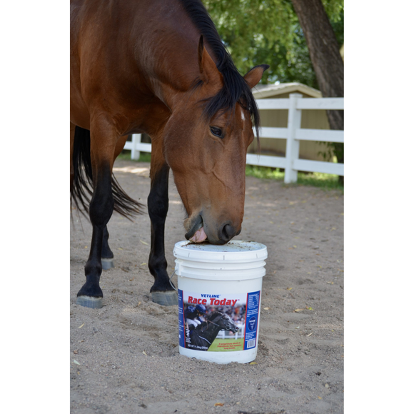 Vetline Race Today Respiratory Support Powder for Horses - Horse Vitamins & Supplements 4