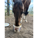 Vetline Super Flex Premium Joint Supplement for Horses - Horse Vitamins & Supplements 3