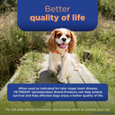 Vetmedin (Pimobendan) Chewable Tablets for Dogs 10mg - Pet Medicine 4