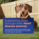 Vetmedin (Pimobendan) Chewable Tablets for Dogs 2.5mg - Pet Medicine 7