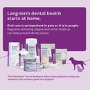 VETRADENT Dental Wipes (60 ct) - Dog Dental Care 3