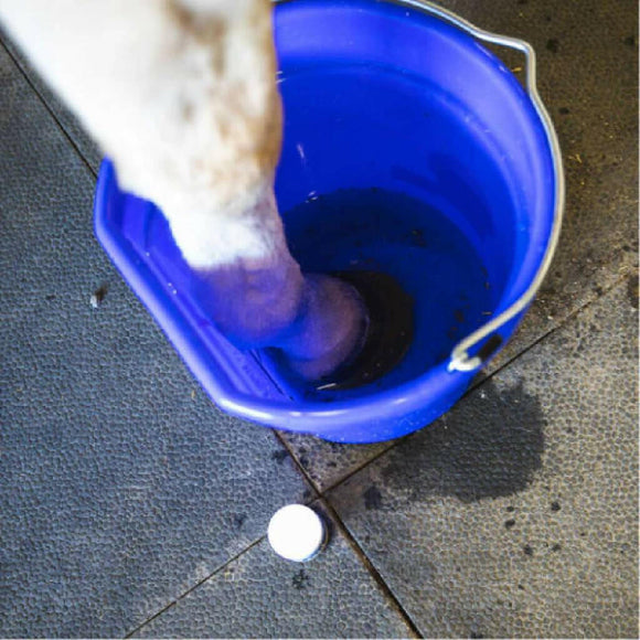 equine hoof care products at hardypaw