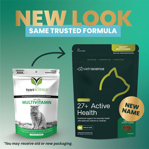 27+ Active Health Chews for Cats