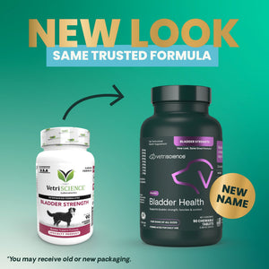 VetriScience Bladder Health Tablets for Dogs (90 Chewable Tablets) - Dog Supplements & Vitamins 2