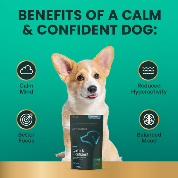 VetriScience Composure Chicken Liver Flavored Chews for Small Dogs (30ct) - Dog Supplements & Vitamins 5