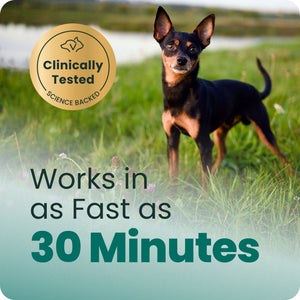 VetriScience Composure Chicken Liver Flavored Chews for Small Dogs (30ct) - Dog Supplements & Vitamins 2