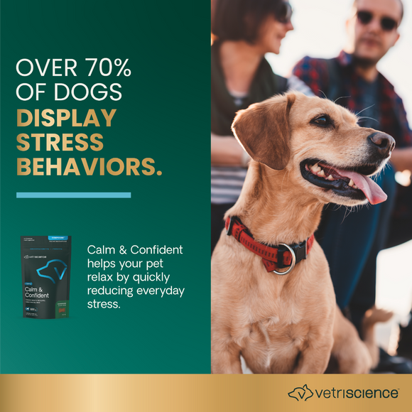 VetriScience Composure Chicken Liver Flavored Chews for Small Dogs (30ct) - Dog Supplements & Vitamins 9