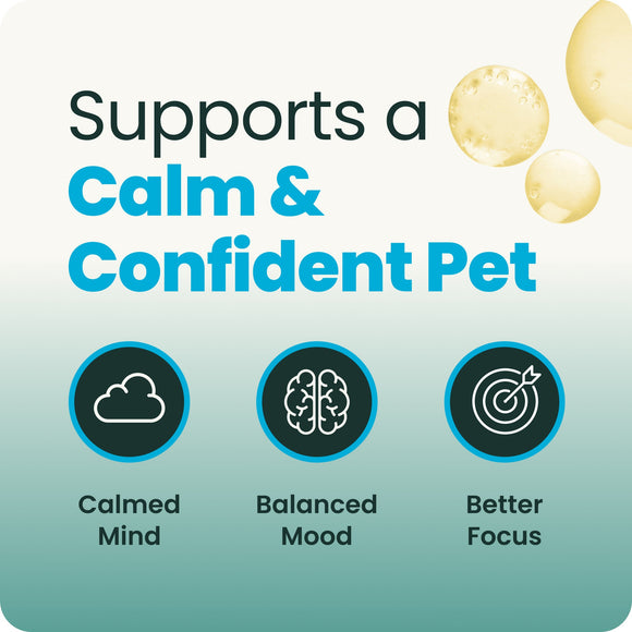 VetriScience Composure Liquid Calming Supplement for Cats & Dogs (8 oz) - Dog Supplements & Vitamins 3