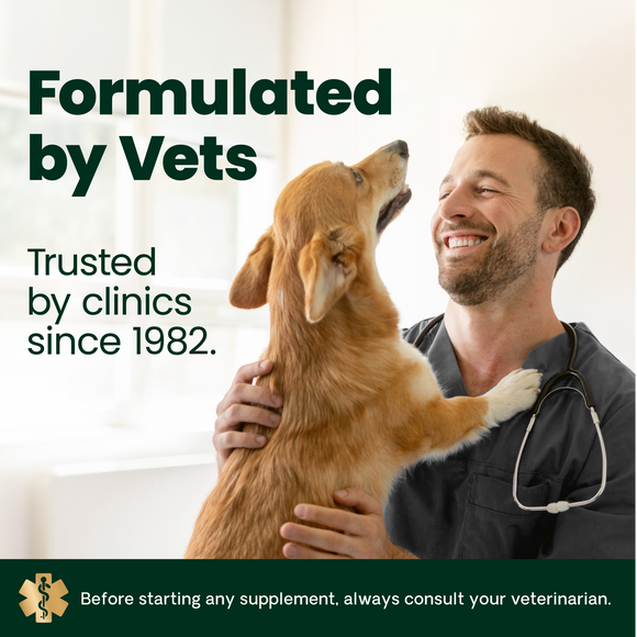 VetriScience Derma Strength Skin & Coat Supplement for Dogs (70 soft chews) - Dog Supplements & Vitamins 9