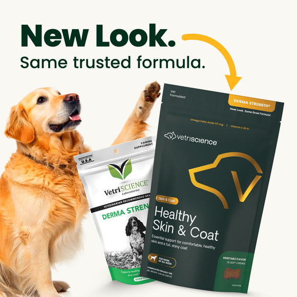 VetriScience Derma Strength Skin & Coat Supplement for Dogs (70 soft chews) - Dog Supplements & Vitamins 3
