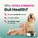 VetriScience Extra Strength Gut Health Vetri Mega Probiotic Capsules for Dogs & Cats - Dog Supplements & Vitamins 13