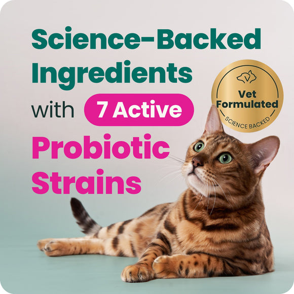 VetriScience Extra Strength Gut Health Vetri Mega Probiotic Capsules for Dogs & Cats - Dog Supplements & Vitamins 7