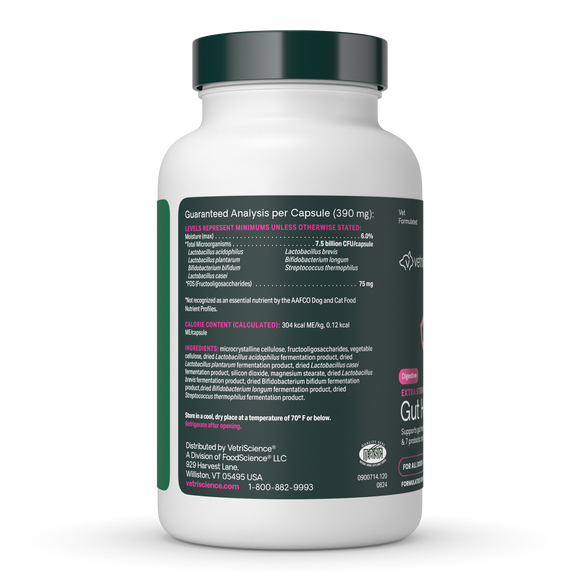 VetriScience Extra Strength Gut Health Vetri Mega Probiotic Capsules for Dogs & Cats - Dog Supplements & Vitamins 4