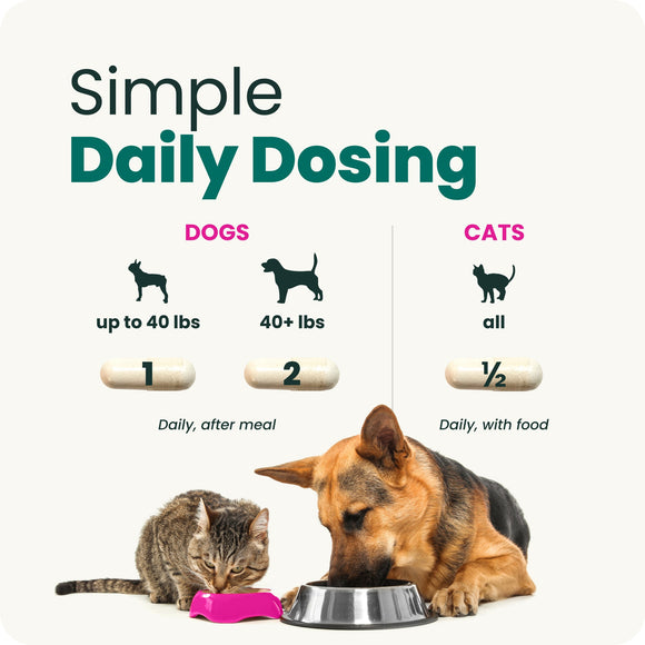 VetriScience Extra Strength Gut Health Vetri Mega Probiotic Capsules for Dogs & Cats - Dog Supplements & Vitamins 11