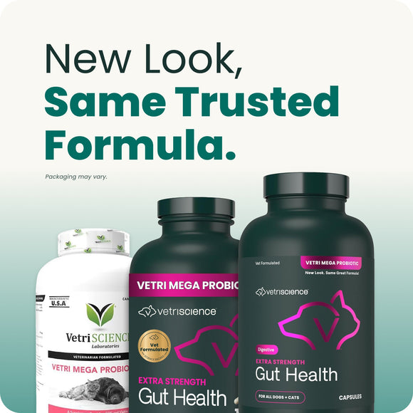 VetriScience Extra Strength Gut Health Vetri Mega Probiotic Capsules for Dogs & Cats - Dog Supplements & Vitamins 10