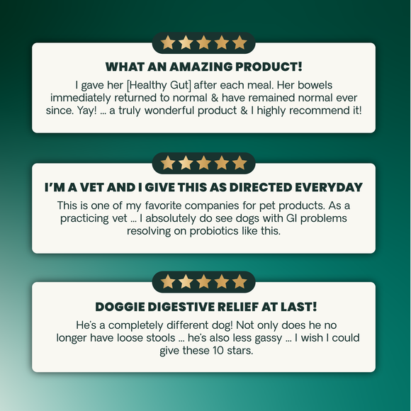 VetriScience Extra Strength Gut Health Vetri Mega Probiotic Capsules for Dogs & Cats - Dog Supplements & Vitamins 6