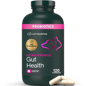 VetriScience Extra Strength Gut Health Vetri Mega Probiotic Capsules for Dogs & Cats - 120 capsules - Dog Supplements &