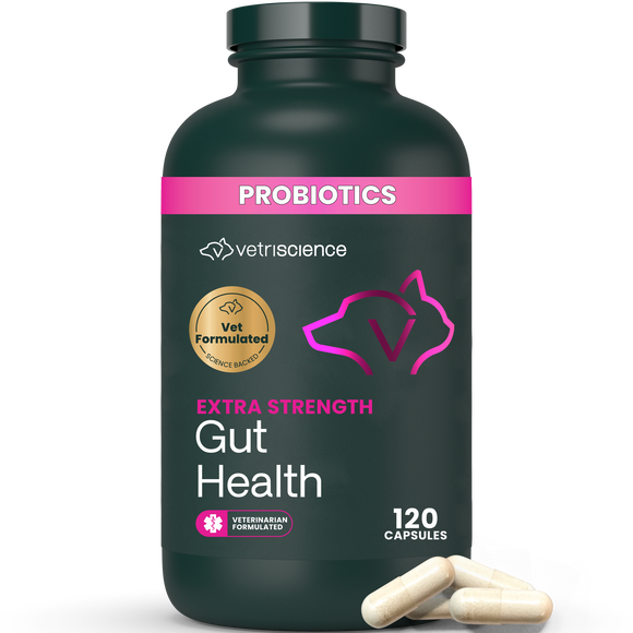 VetriScience Extra Strength Gut Health Vetri Mega Probiotic Capsules for Dogs & Cats - 120 capsules - Dog Supplements &