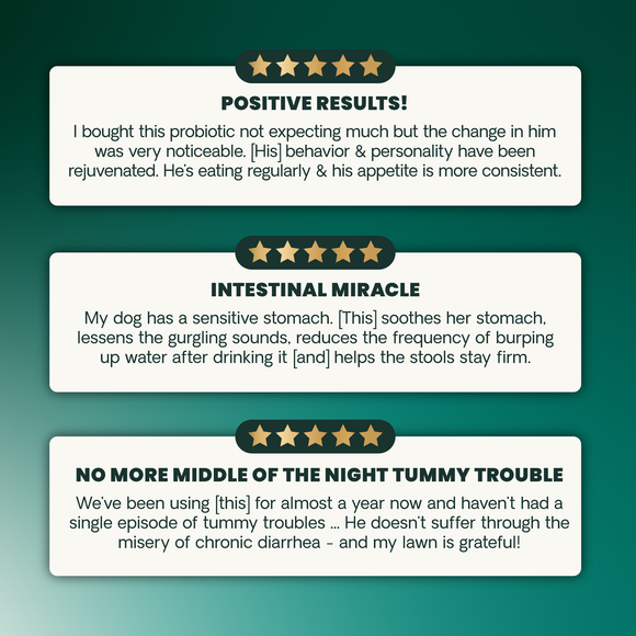 VetriScience Extra Strength Healthy Gut & Digestion Tablets for Dogs (120 Chewable Tablets) - Dog Supplements &