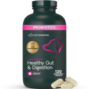 VetriScience Extra Strength Healthy Gut & Digestion Tablets for Dogs (120 Chewable Tablets) - Dog Supplements &