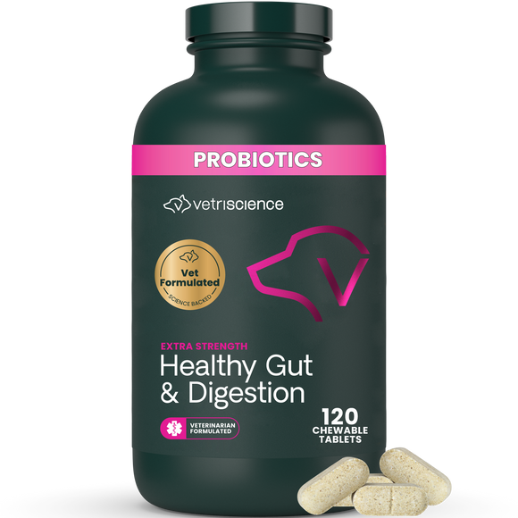 VetriScience Extra Strength Healthy Gut & Digestion Tablets for Dogs (120 Chewable Tablets) - Dog Supplements &