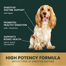 VetriScience Extra Strength Healthy Gut & Digestion Tablets for Dogs (120 Chewable Tablets) - Dog Supplements &